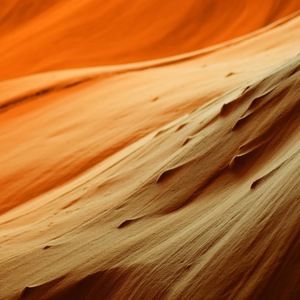 Meet your Posher, Tonia